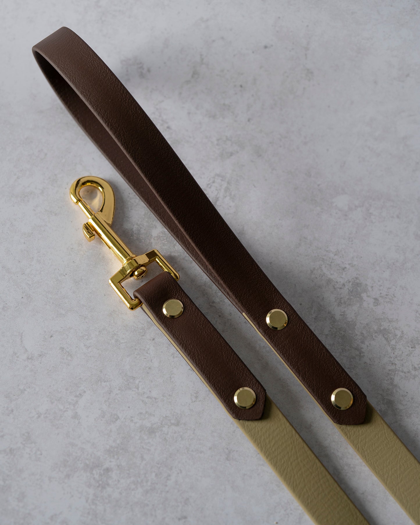 Two Toned Leash
