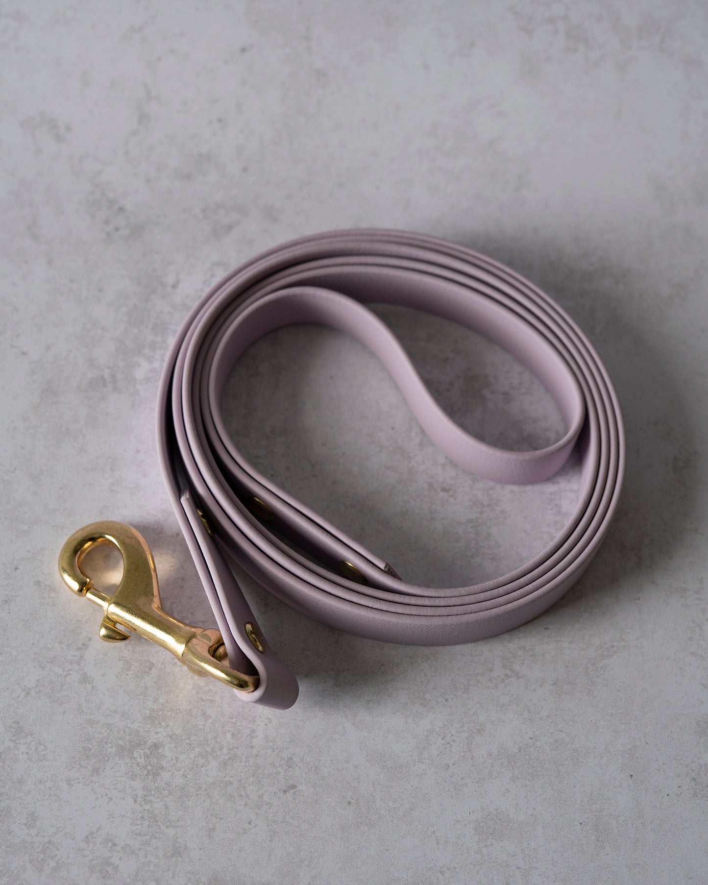 Standard Leash