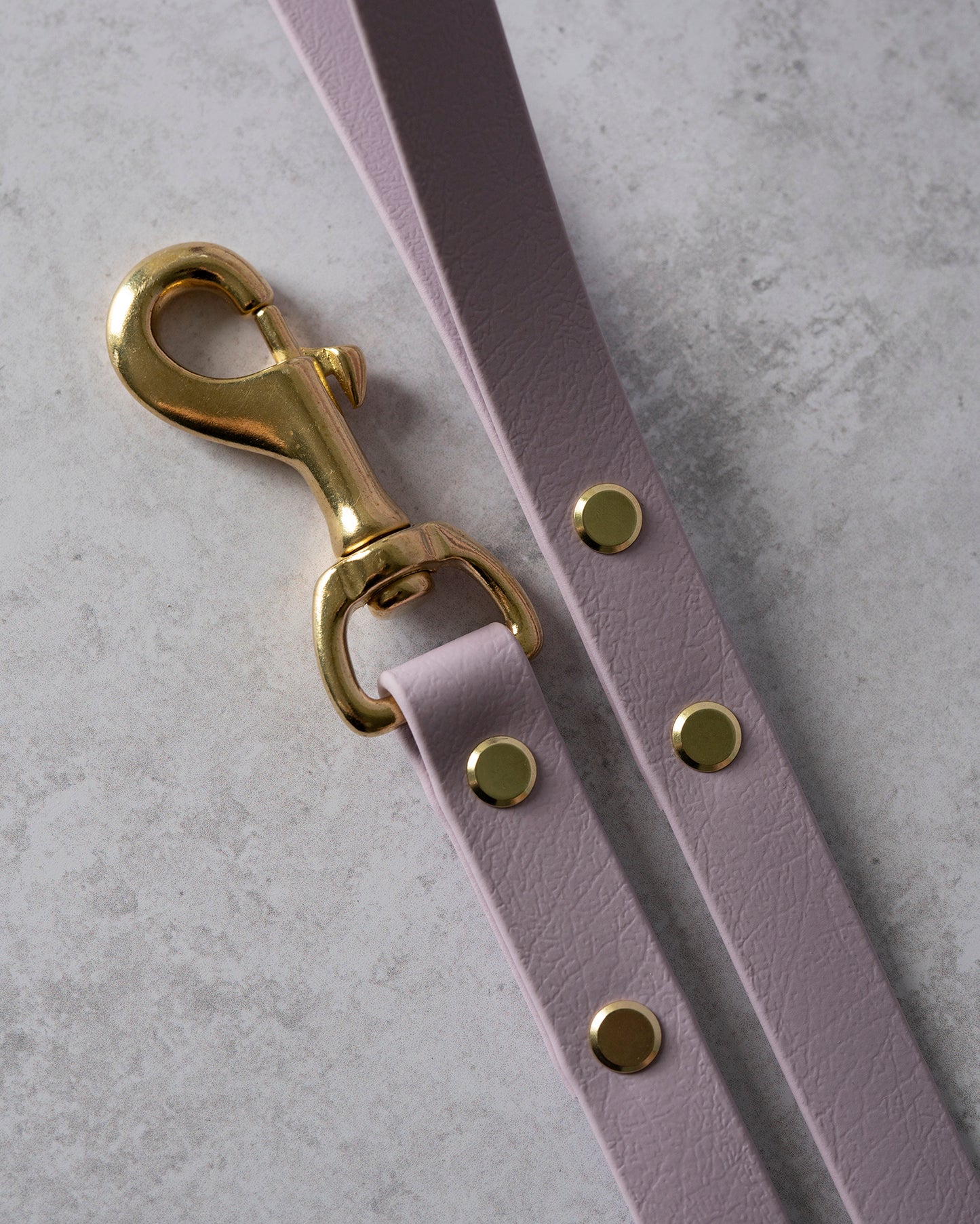 Standard Leash
