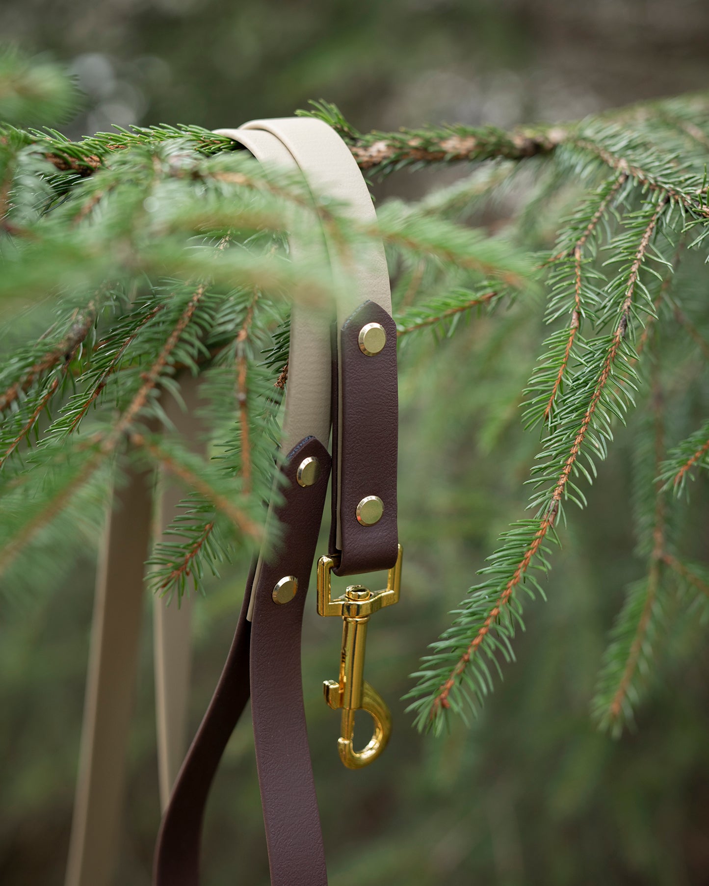 Two Toned Leash