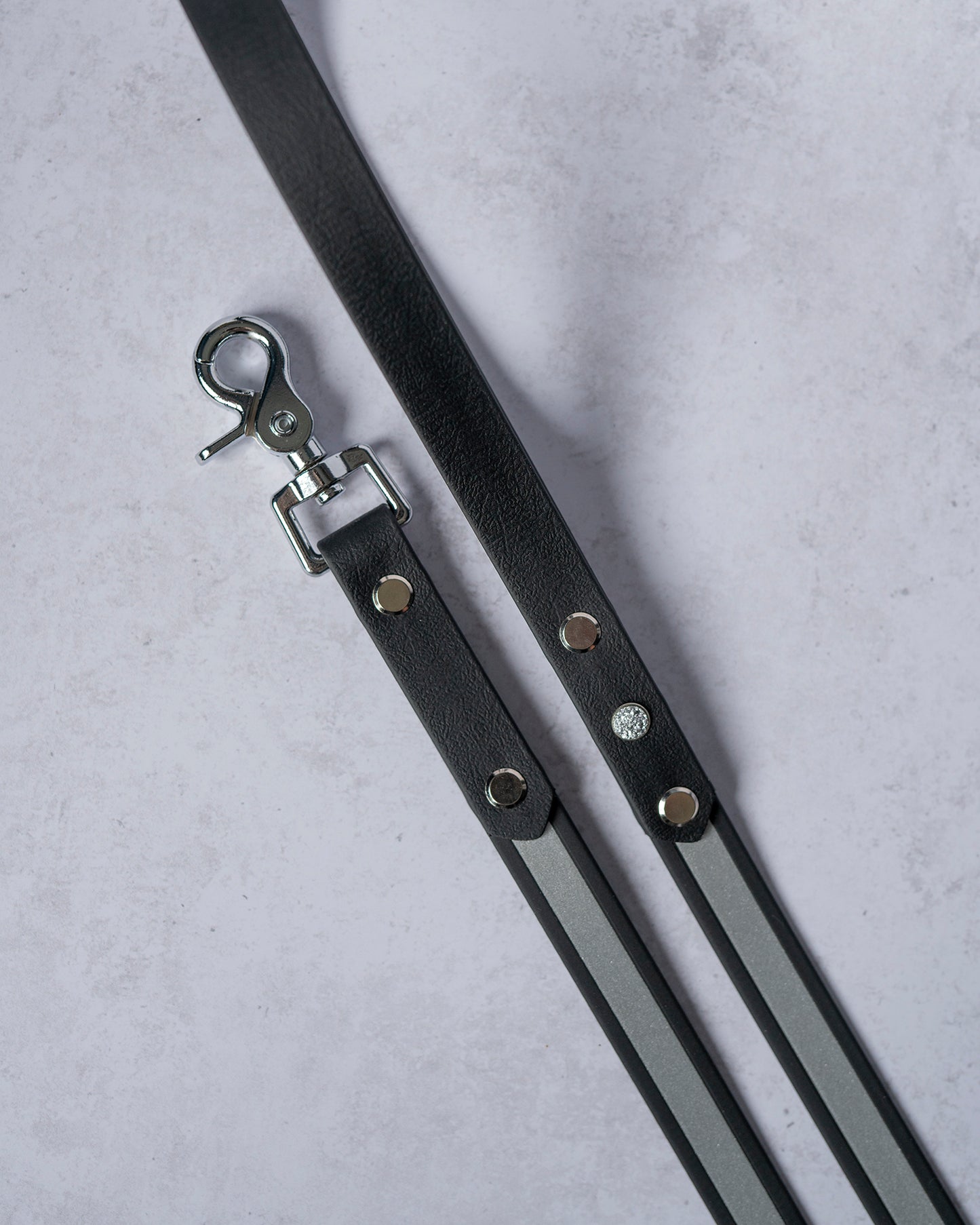 Reflective Leash