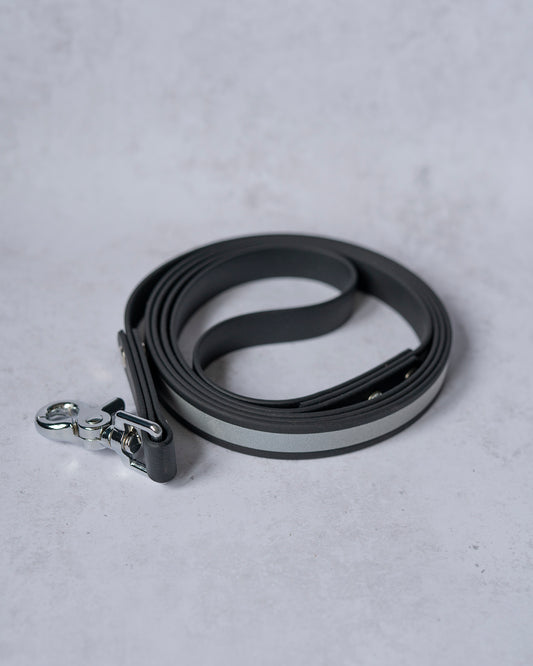 Reflective Leash
