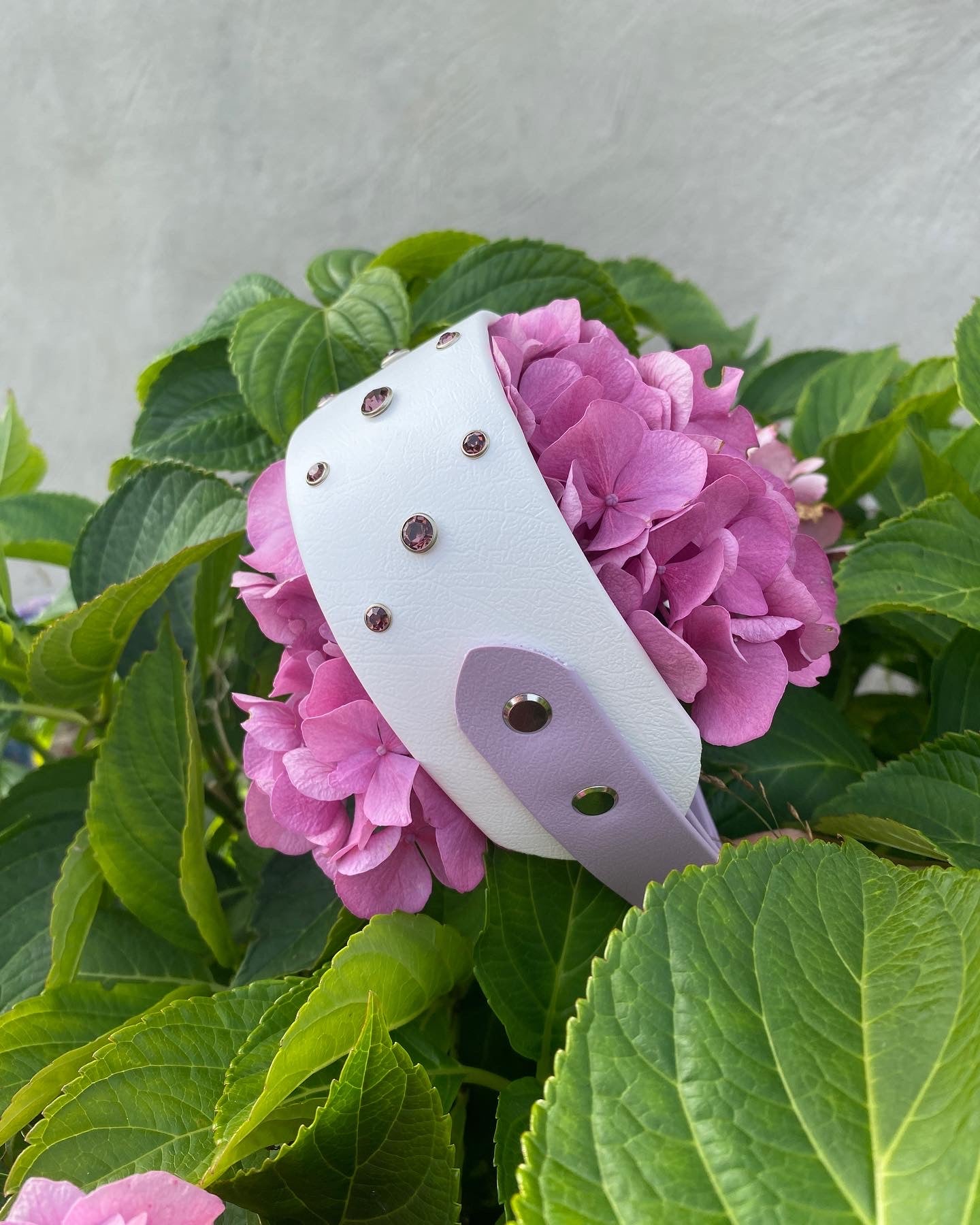 Vespera collar
