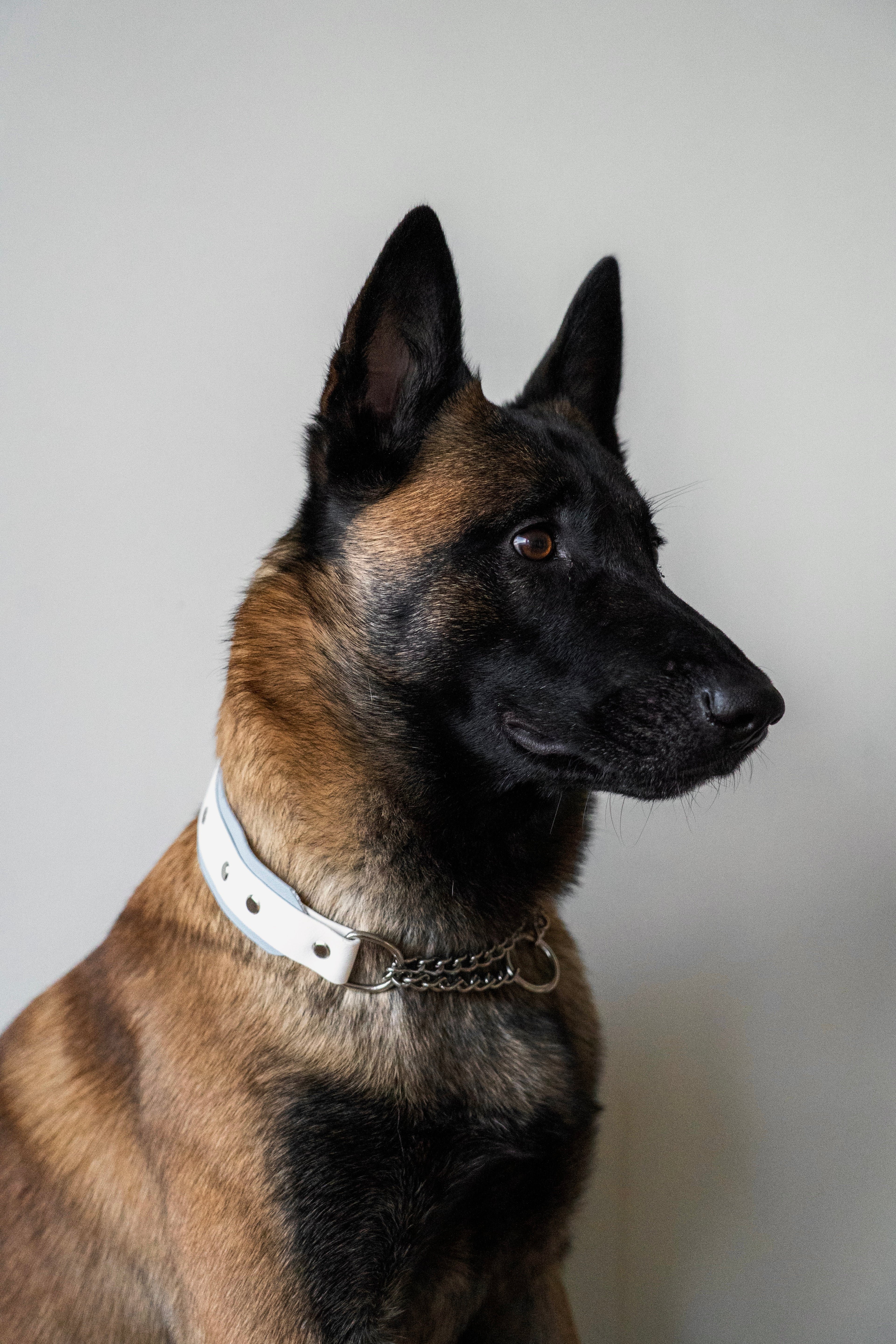 Layered Collar - Chain