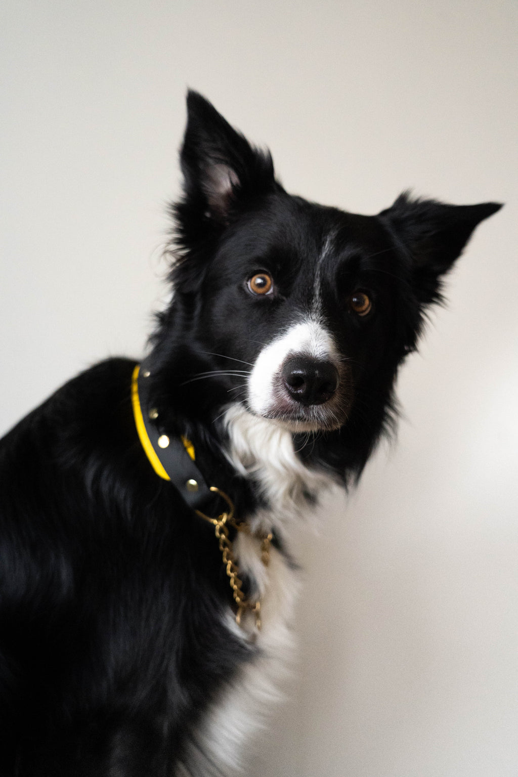 Layered Collar - Chain