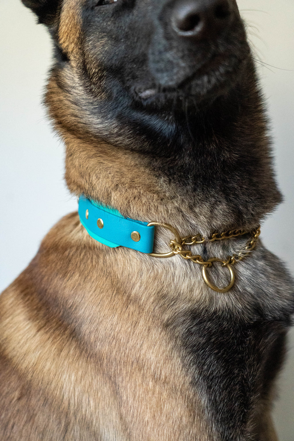 Layered Collar - Chain