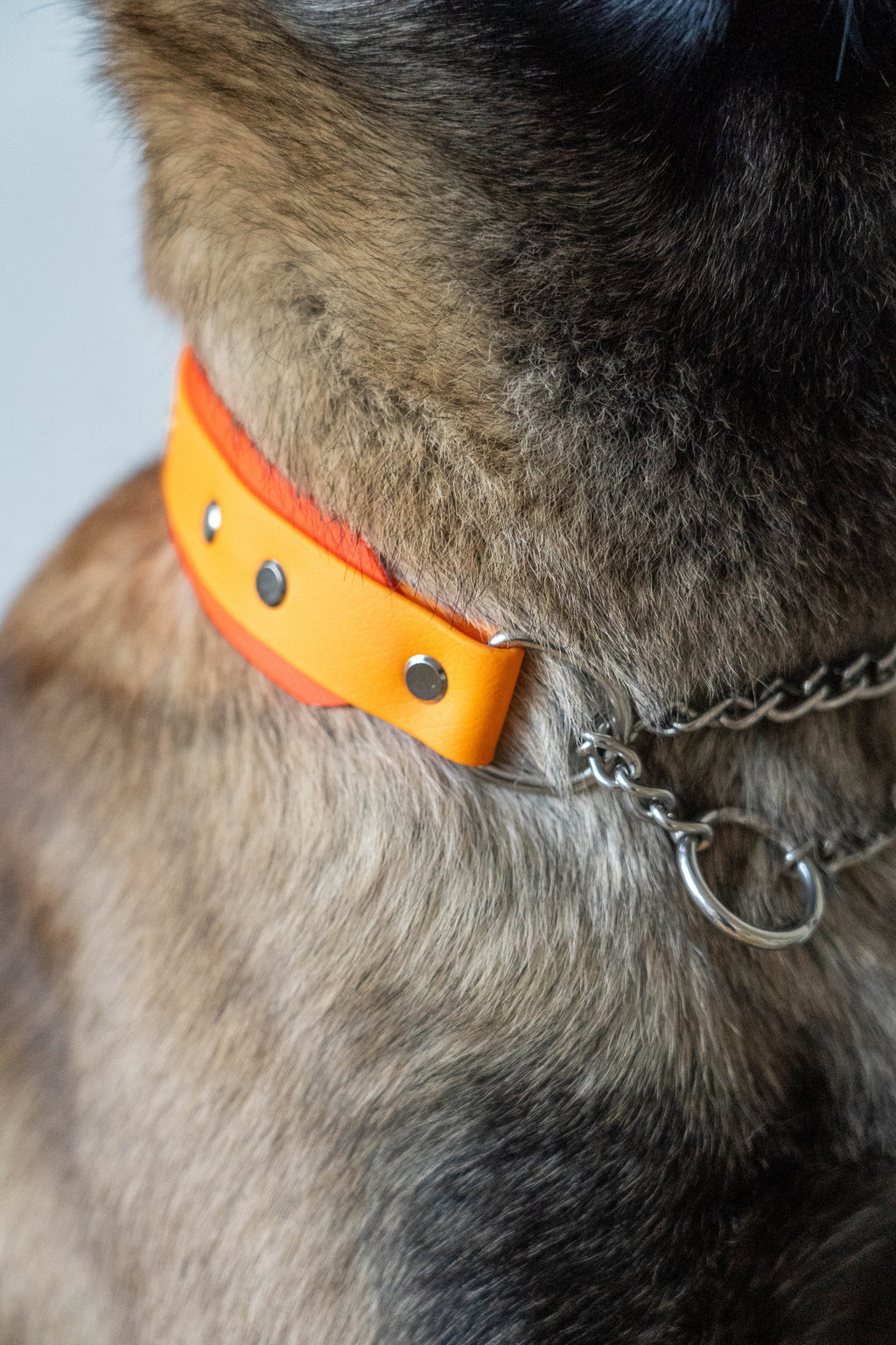 Layered Collar - Chain