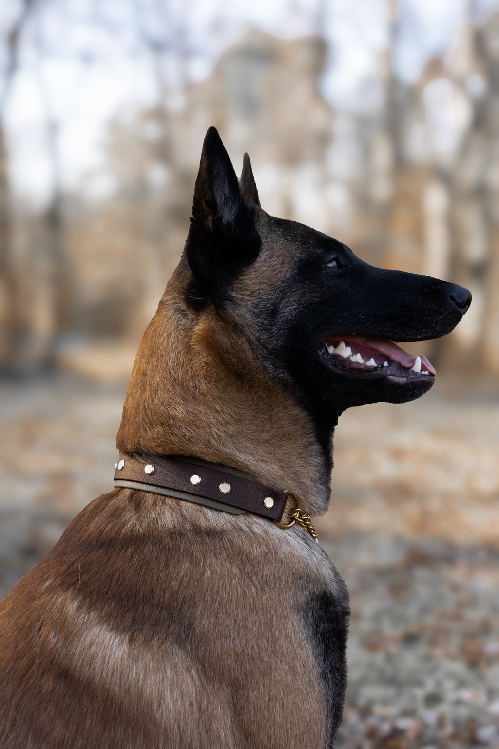 Layered Collar - Chain