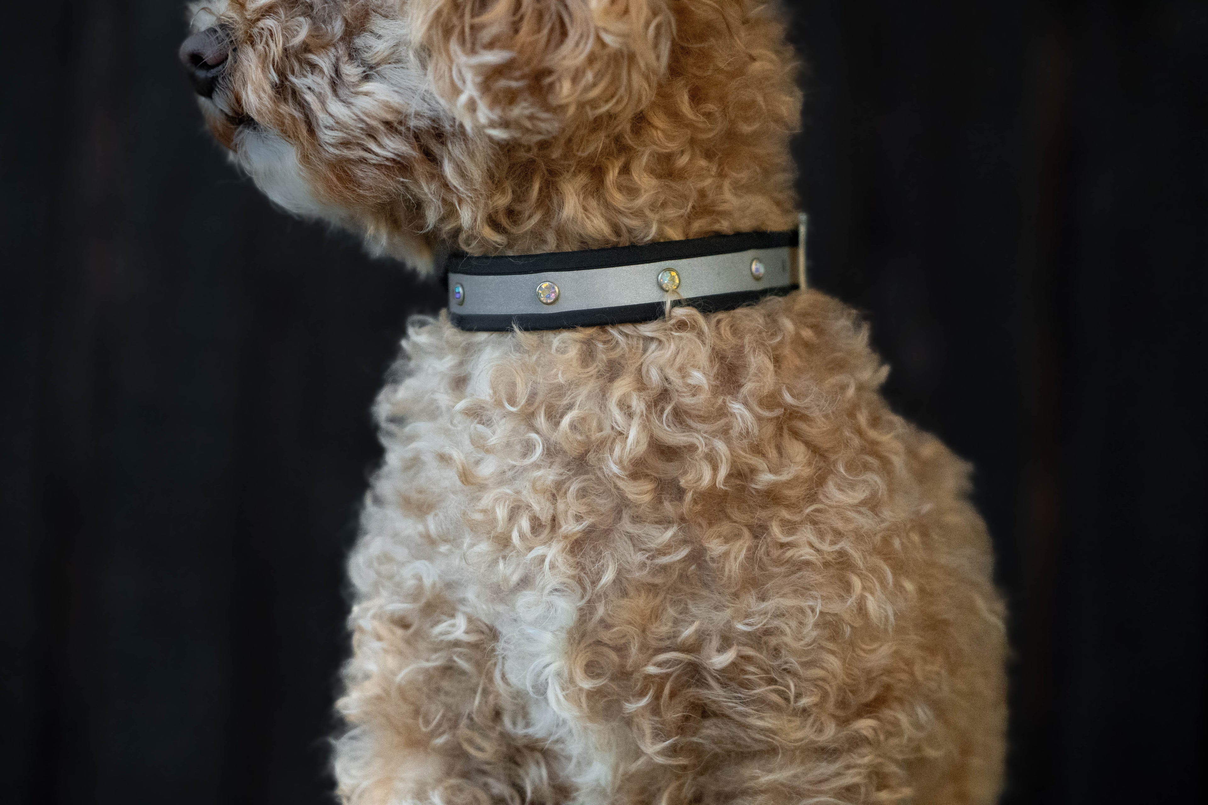 Reflective Layered Collar