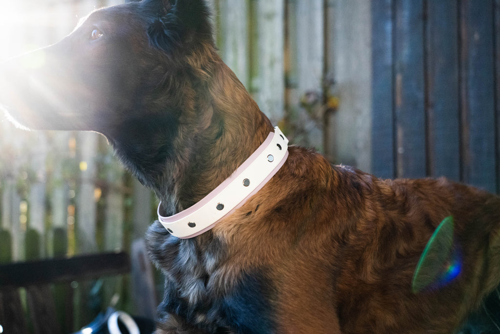 Layered Collar - Chain