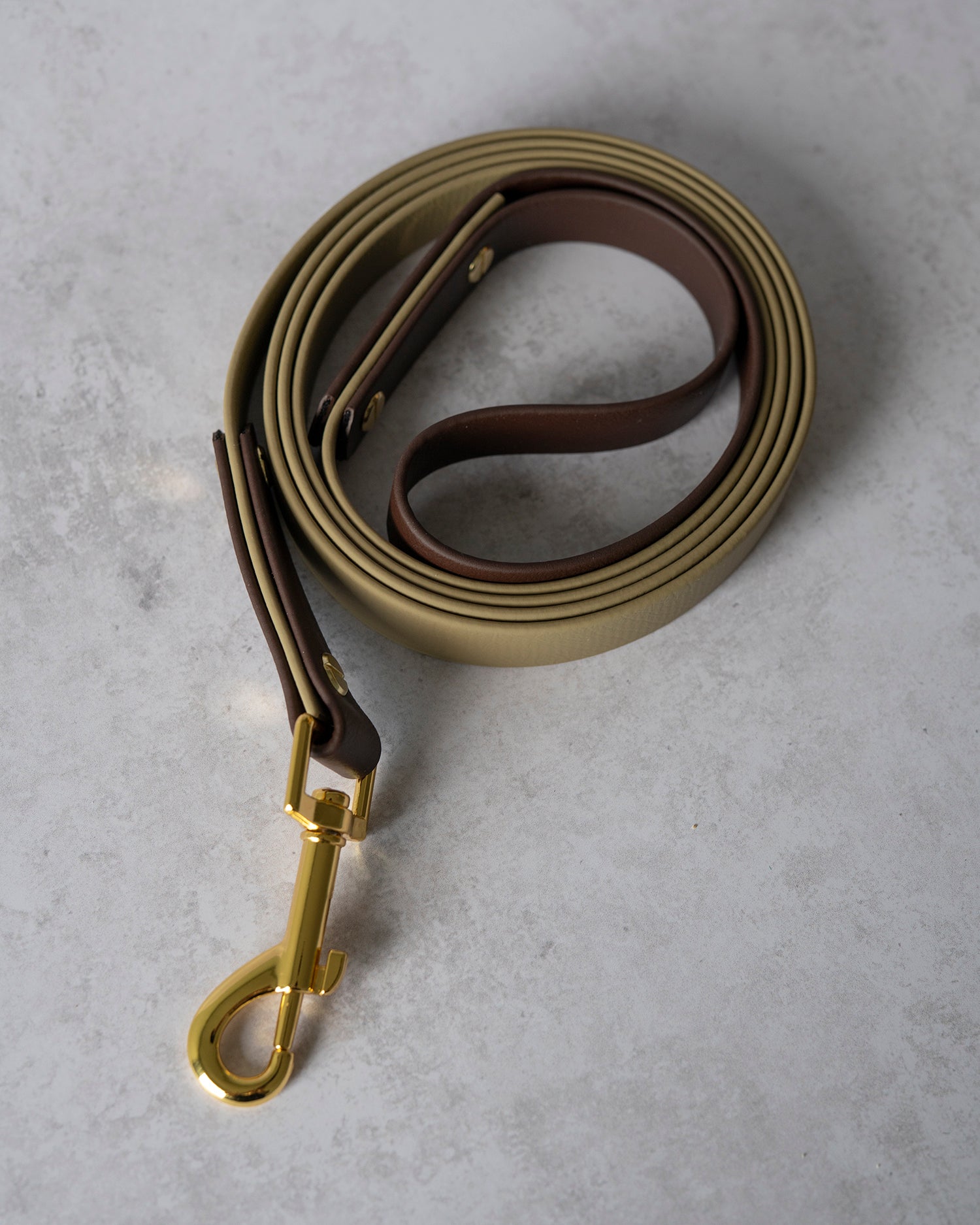 Two Toned Leash