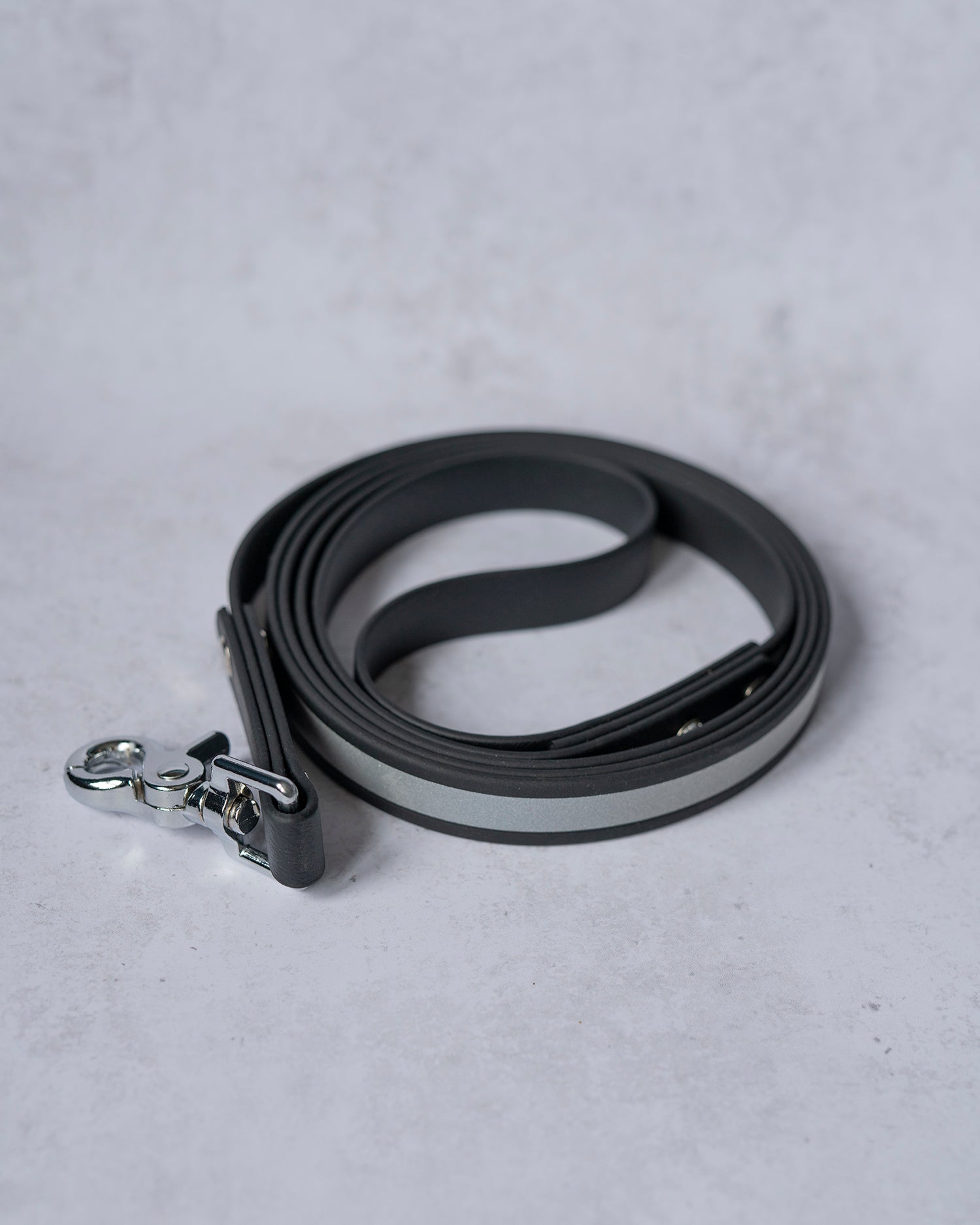 Reflective Leash